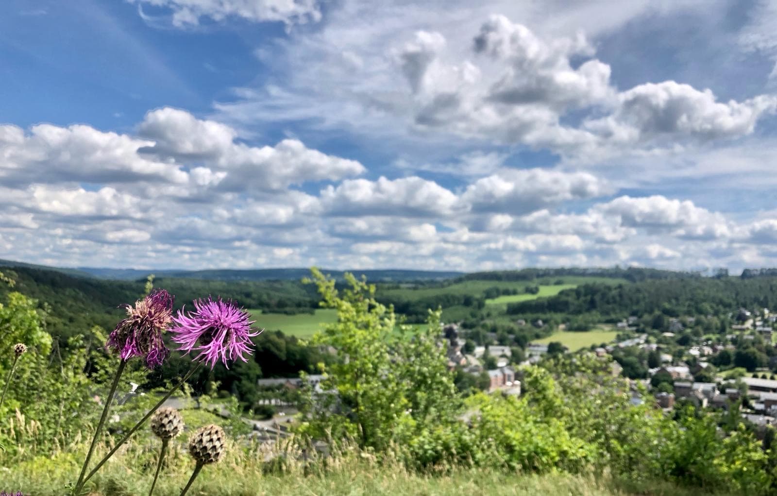 Panorama van Durbuy