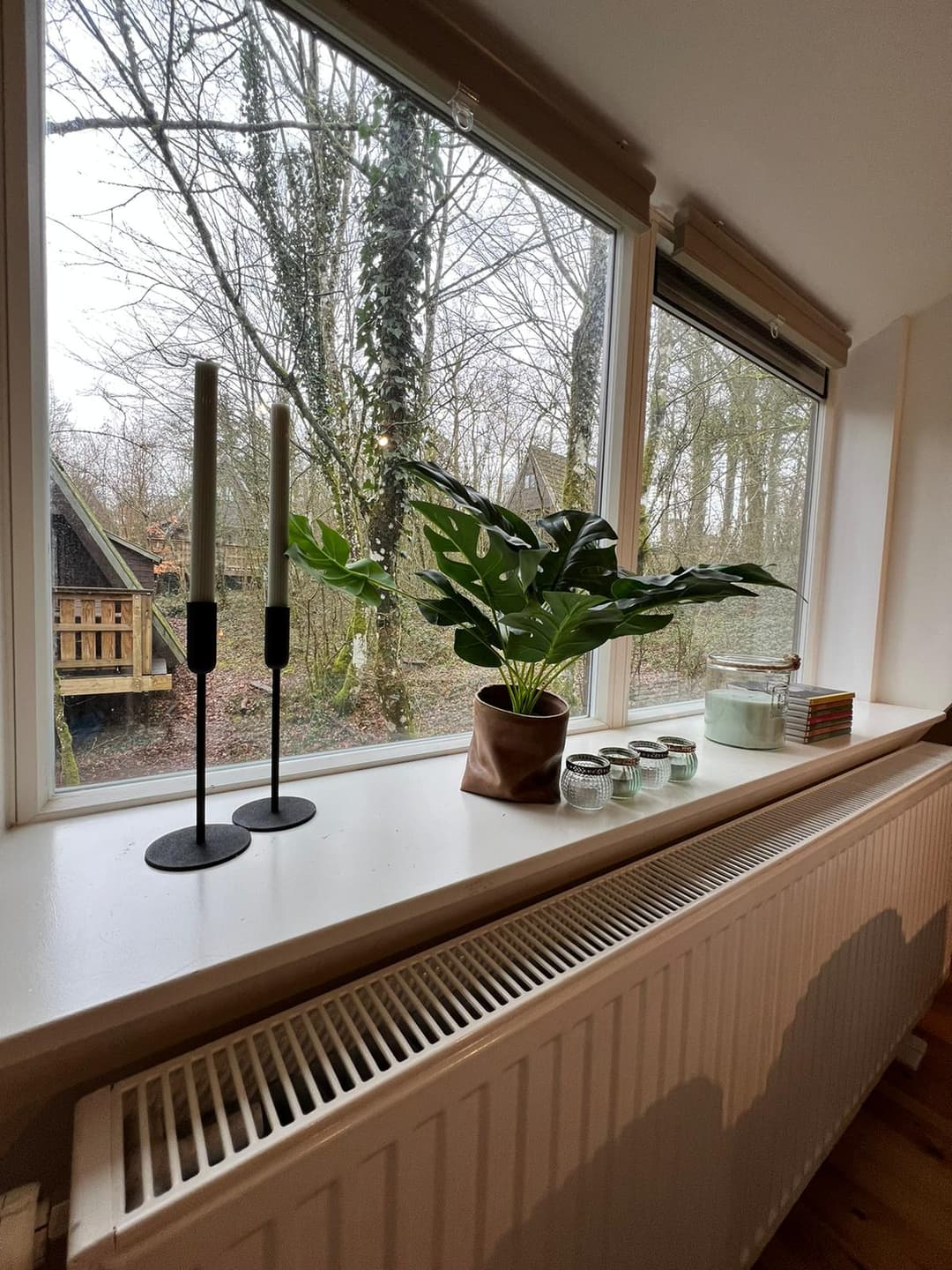 Het uitzicht in het chalet met een groene plant en kaarsen voor het raam